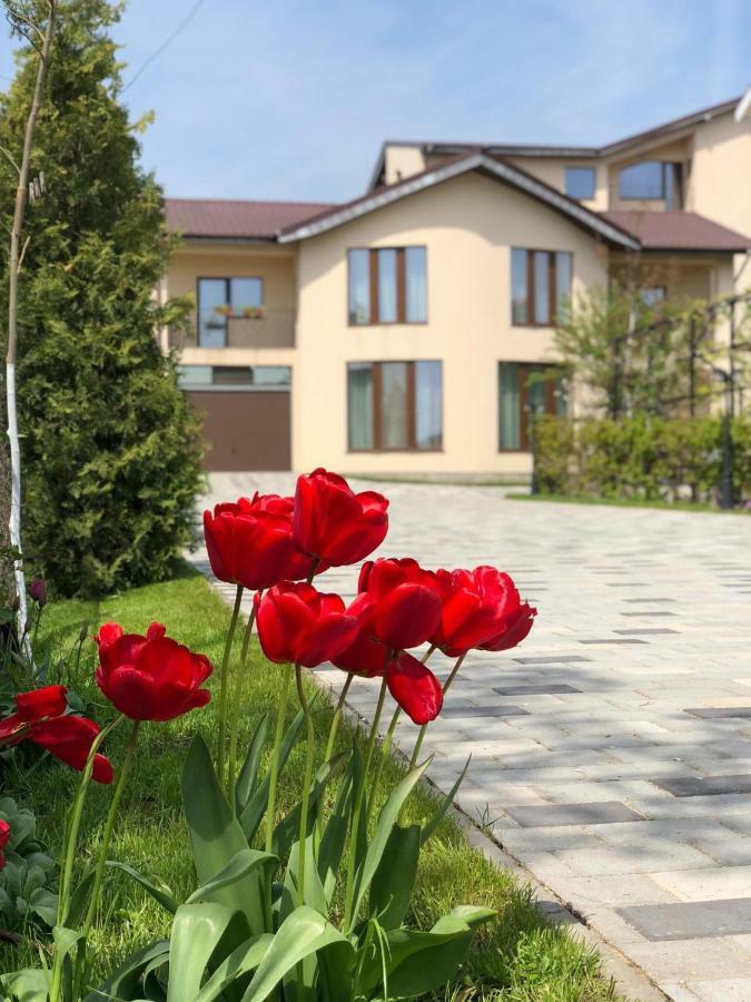 Eden Blue Hotel Costinesti Exterior foto